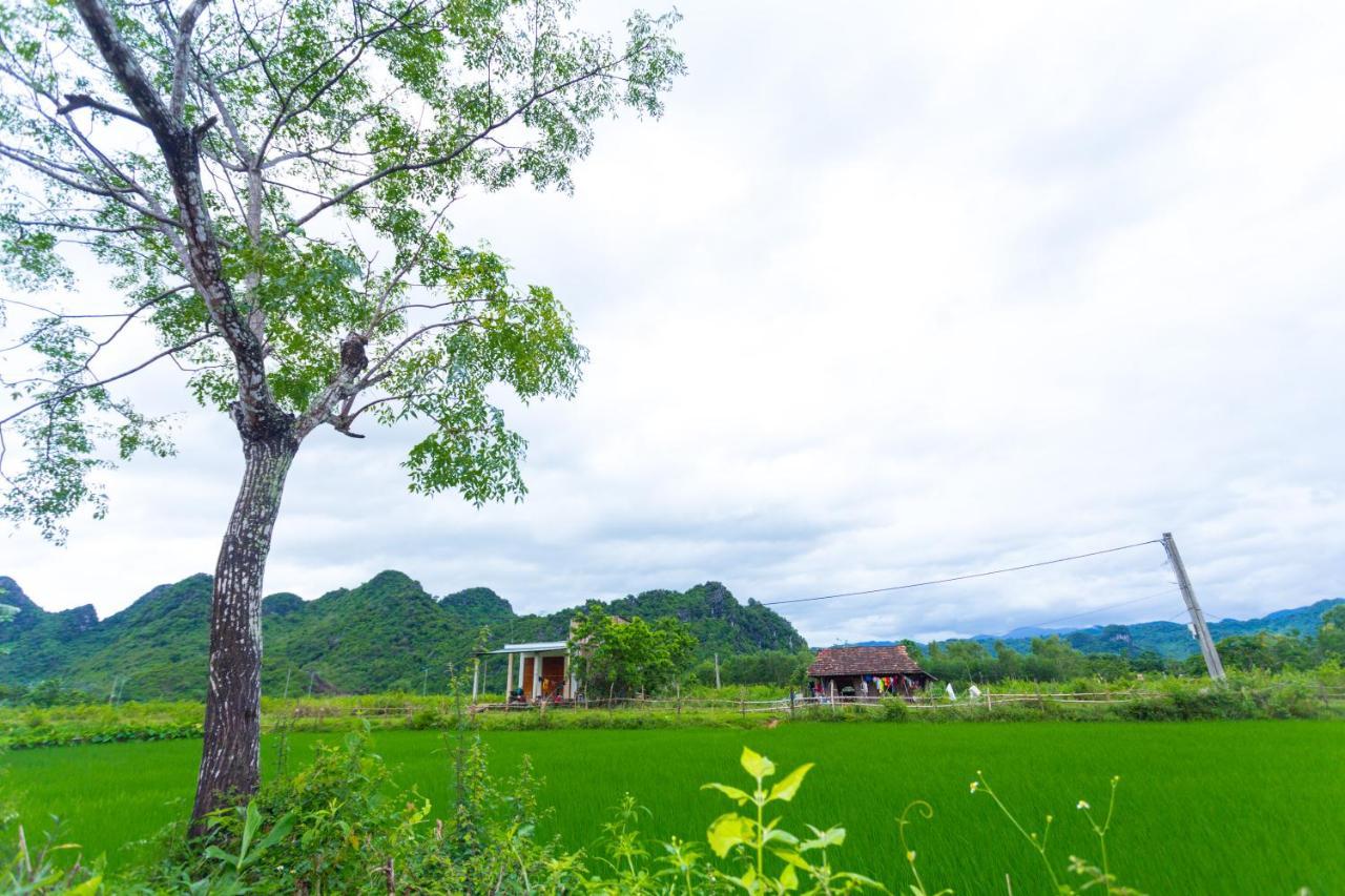 Pomelo Homestay Phong Nha Buitenkant foto