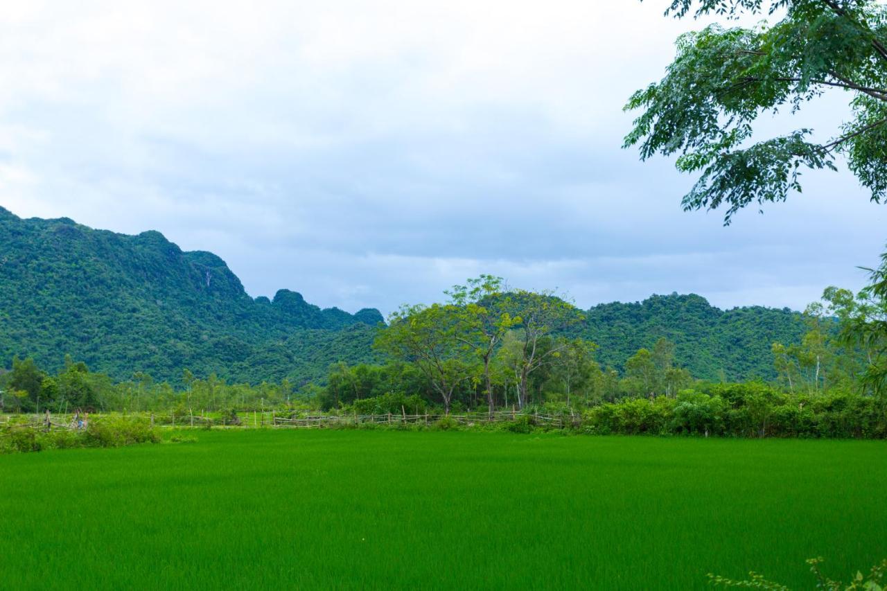Pomelo Homestay Phong Nha Buitenkant foto