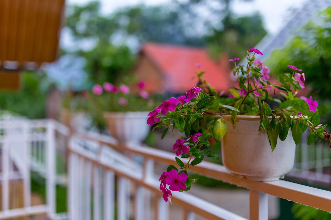 Pomelo Homestay Phong Nha Buitenkant foto