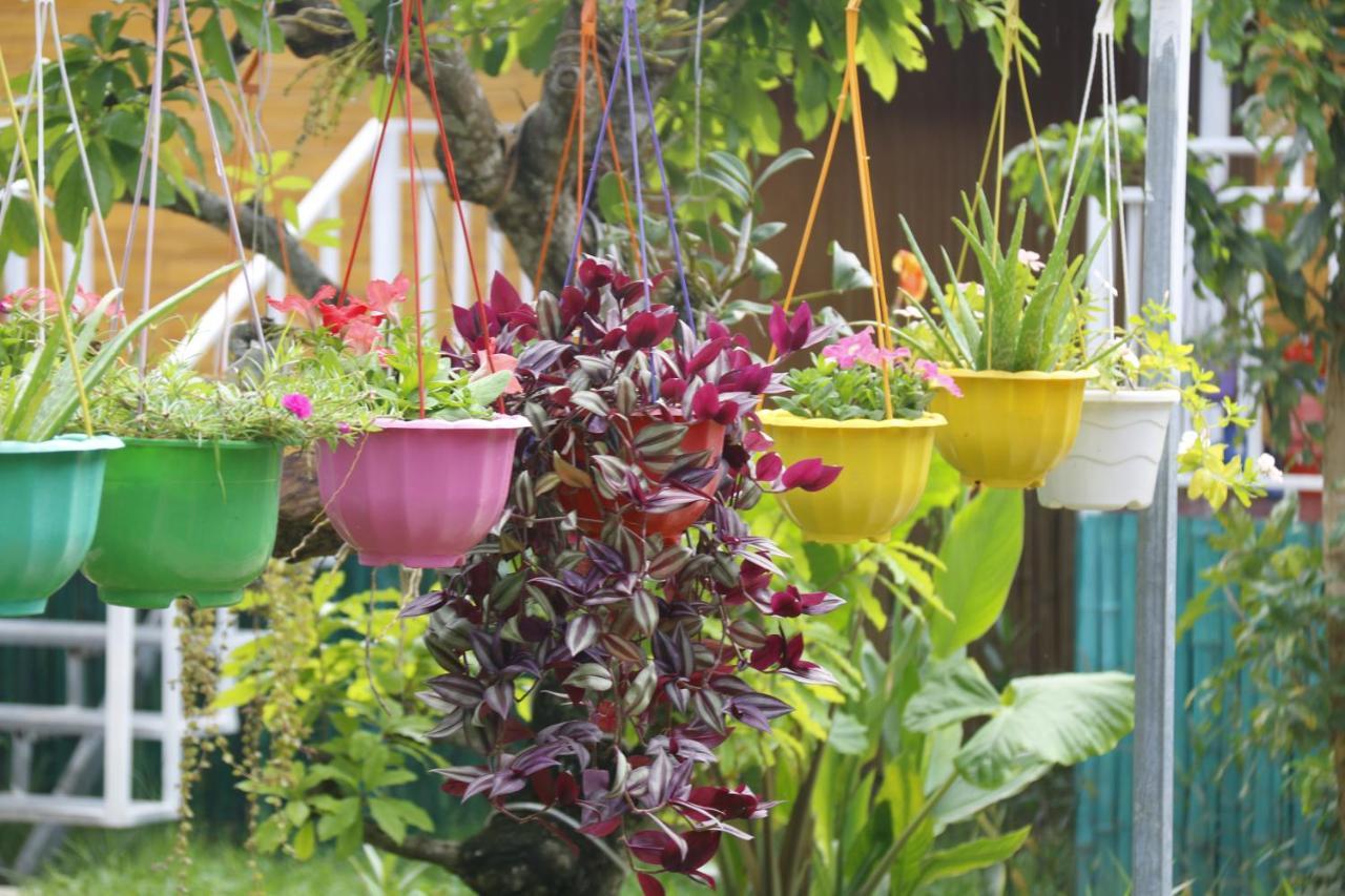 Pomelo Homestay Phong Nha Buitenkant foto